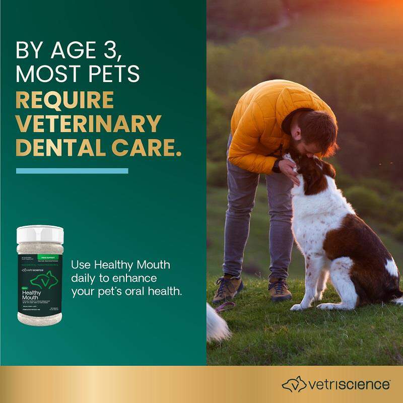 VetriScience Healthy Mouth Perio Support, 4.2 oz
