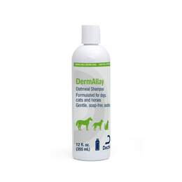 DermAllay Oatmeal Shampoo