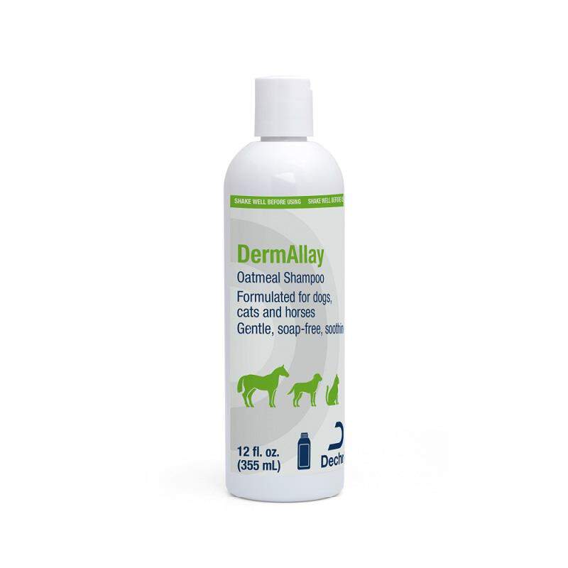 DermAllay Oatmeal Shampoo