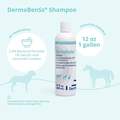 DermaBenSs Shampoo