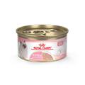 Royal Canin Feline Health Nutrition Kitten Loaf in Sauce Canned Cat Food, Case of 24