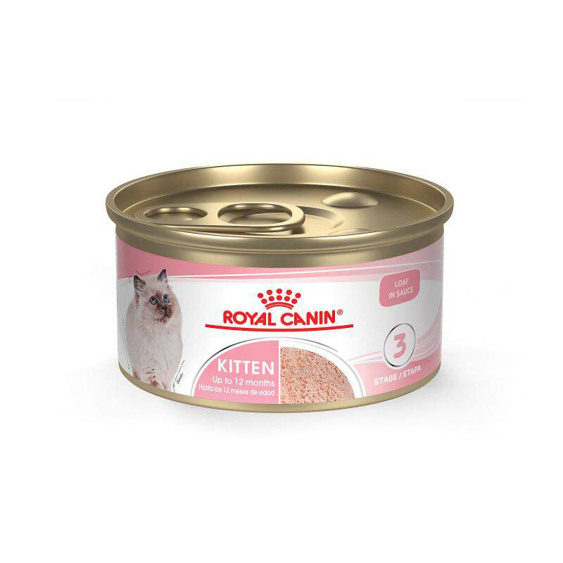 Royal Canin Feline Health Nutrition Kitten Loaf in Sauce Canned Cat Food, Case of 24
