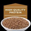 Purina Pro Plan Veterinary Diets NF Kidney Function Early Care Adult Cat Food, (24 X 5.5 oz) Cans