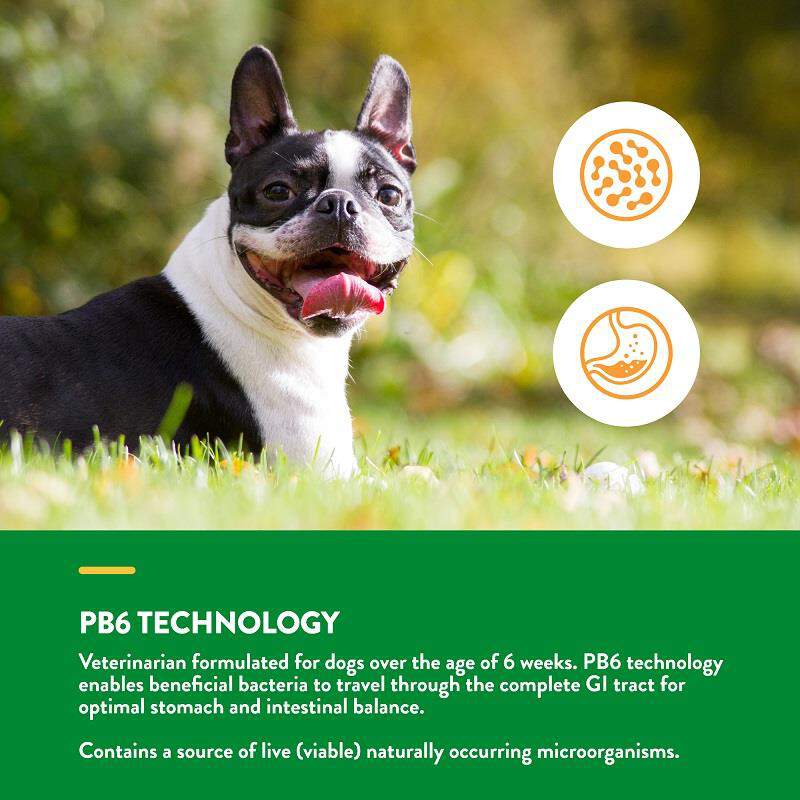 NaturVet Advanced Probiotics & Enzymes Plus Vet Strength PB6 Probiotic Soft Chews for Dogs