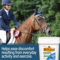 Absorbine Bute-Less Comfort & Recovery Supplement Pellets