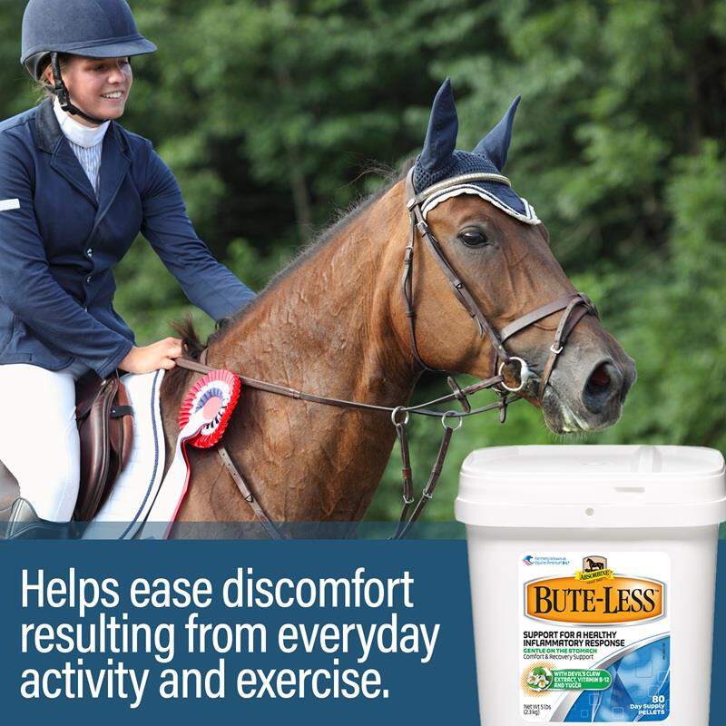 Absorbine Bute-Less Comfort & Recovery Supplement Pellets