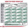 Royal Canin Veterinary Diet Adult Satiety Support Weight Management Dry Cat Food