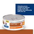 Hill's Prescription Diet k/d Kidney Care with Chicken Canned Cat Food, 24 x 5.5 oz cans