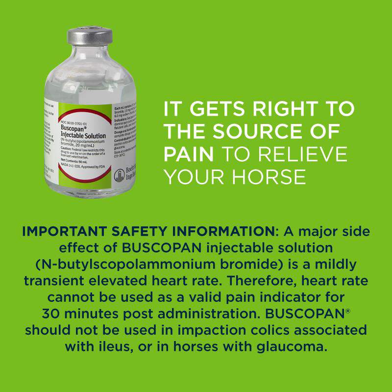 Buscopan Injectable Solution for Horses, 50 ml