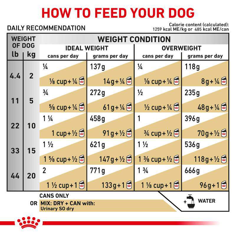 Royal Canin Veterinary Diet Adult Urinary SO Loaf in Sauce Canned Dog Food, 13.5 oz cans