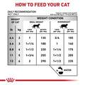 Royal Canin Veterinary Diet Adult Urinary SO Loaf in Sauce Canned Cat Food, 5.1 oz cans