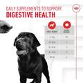 Royal Canin Adult Digestive Chewable Supplements for Dogs, 60 Soft Chews