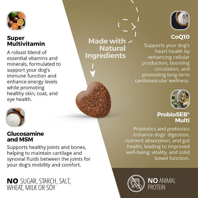 Super Multivitamin CoQ10 & Probiotic Soft Chews for Dogs, 60 ct
