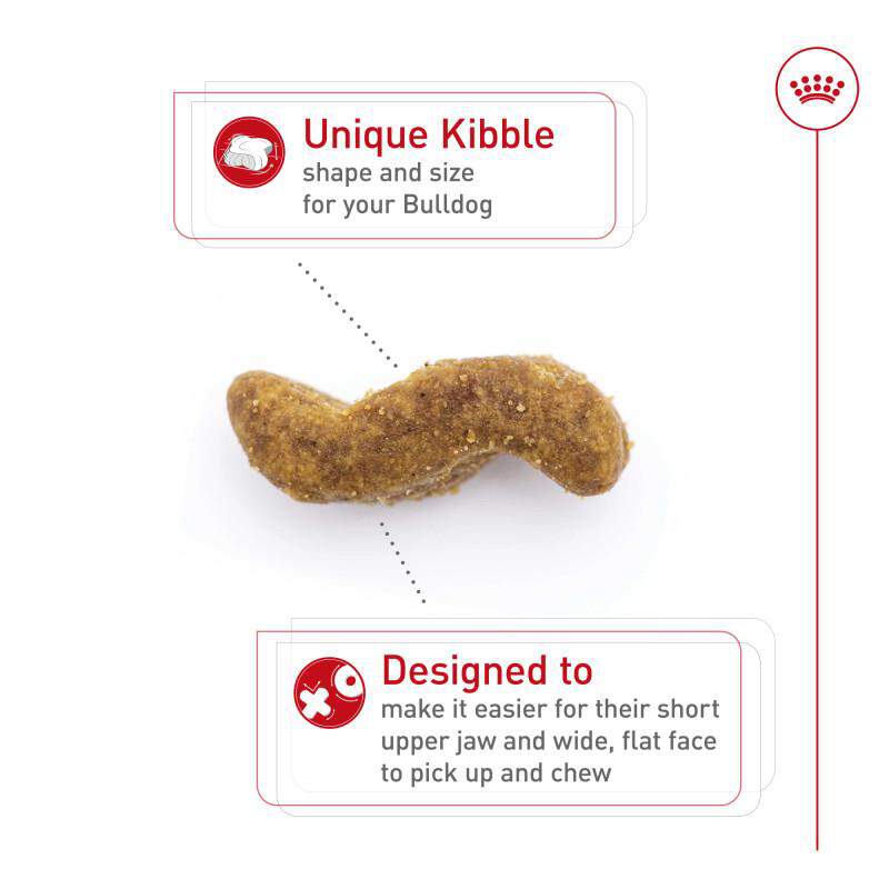 Royal Canin Breed Health Nutrition Bulldog Adult Dry Dog Food