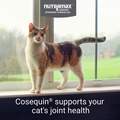 Cosequin Maximum Strength Joint Health Supplement for Cats, 55 Sprinkle Capsules