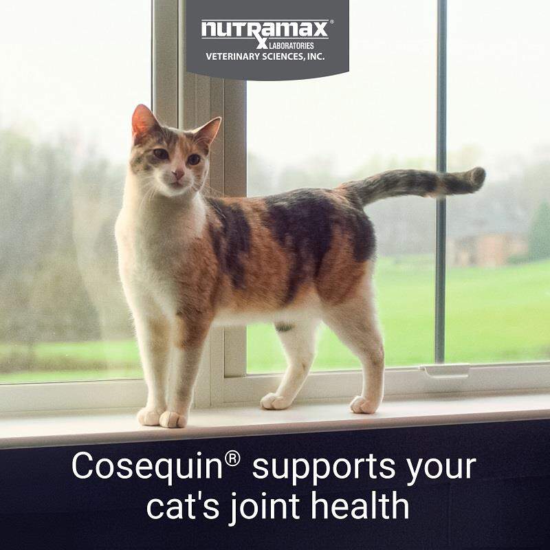 Cosequin Maximum Strength Joint Health Supplement for Cats, 55 Sprinkle Capsules