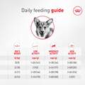 Royal Canin Breed Health Nutrition Corgi Adult Dry Dog Food
