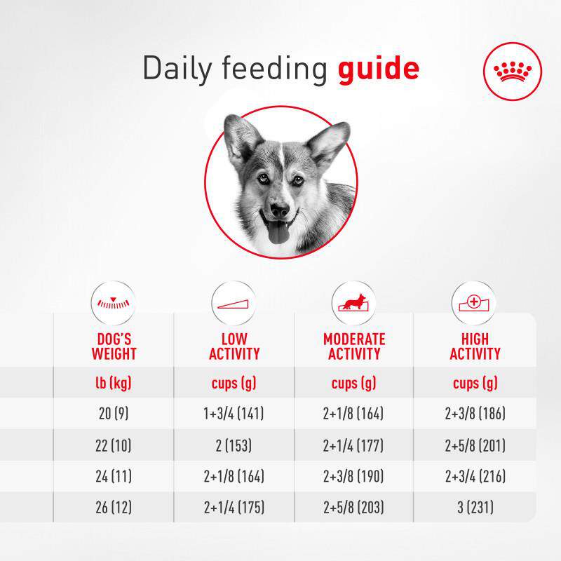 Royal Canin Breed Health Nutrition Corgi Adult Dry Dog Food
