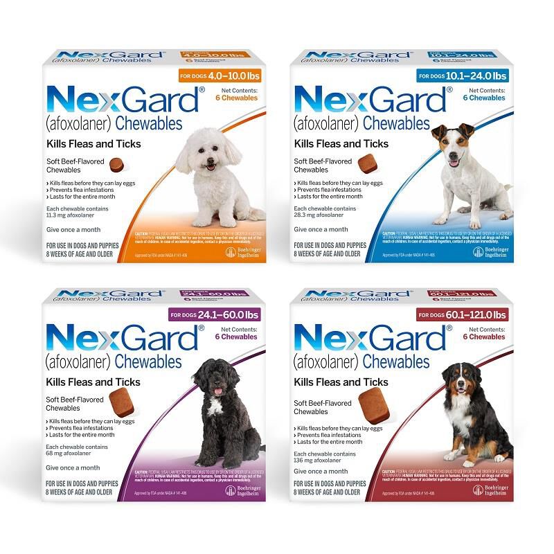 NexGard for Dogs and Puppies