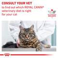 Royal Canin Veterinary Diet Adult Gastrointestinal Cat Treats, 7.7 oz bag