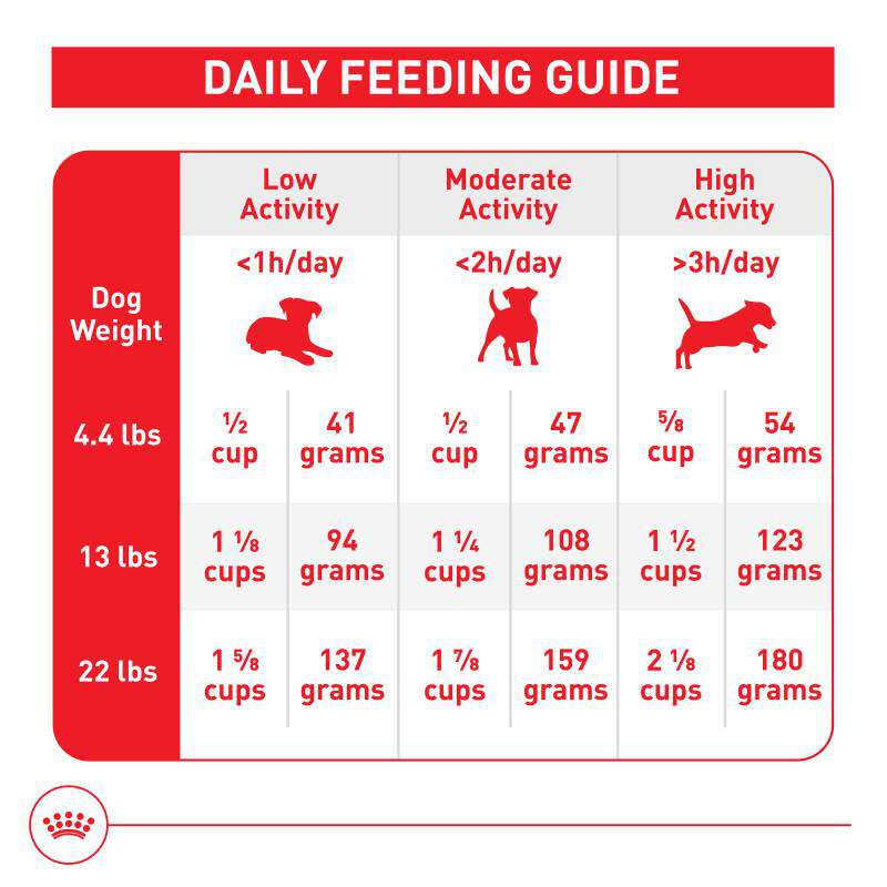 Royal Canin Size Health Nutrition Small Aging 12+ Dry Dog Food