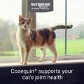 Nutramax Cosequin for Cats for Joint Health, 80 Sprinkle Capsules