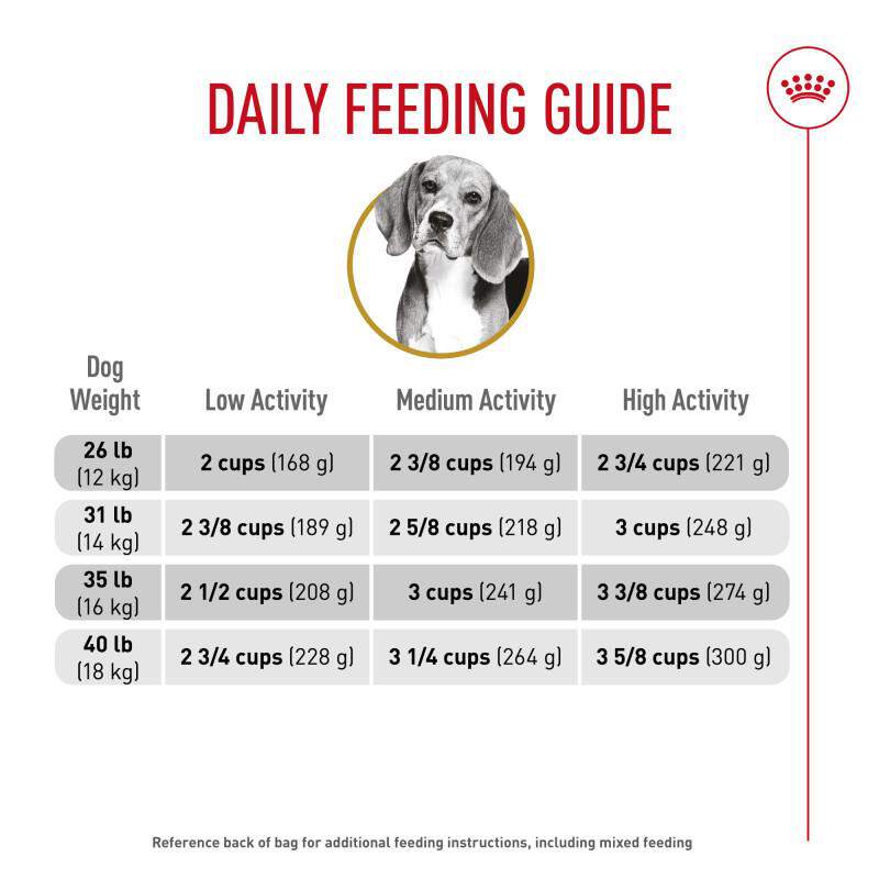 Royal Canin Breed Health Nutrition Beagle Adult Dry Dog Food