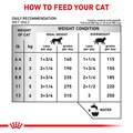 Royal Canin Veterinary Diet Adult Urinary SO Morsels in Gravy Canned Cat Food, 3 oz cans