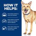 Hill's Prescription Diet i/d Digestive Care with Turkey Canned Dog Food, 12 x 13 oz cans