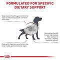 Royal Canin Veterinary Diet Adult Gastrointestinal High Fiber Dry Dog Food
