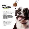 Gut, Prebiotic & Probiotics Soft Chews for Dogs, 60 ct