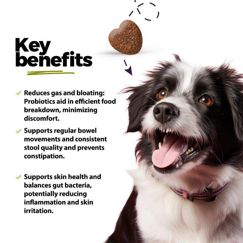 Gut, Prebiotic & Probiotics Soft Chews for Dogs, 60 ct