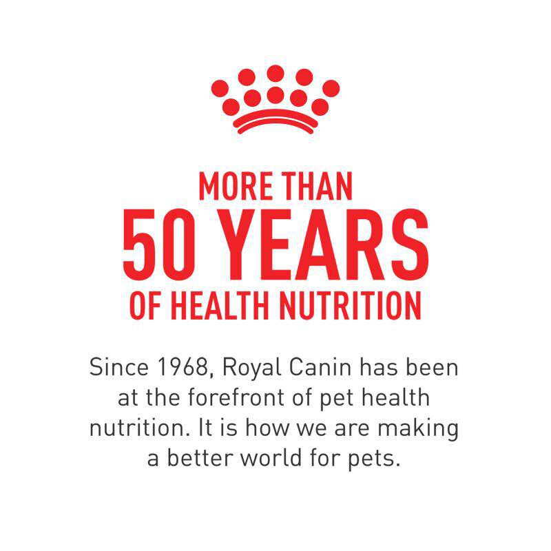 Royal Canin Canine Care Nutrition Adult Small Dental Care Dry Dog Food, 17 lb bag