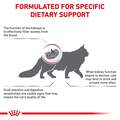 Royal Canin Veterinary Diet Adult Renal Support A Dry Cat Food