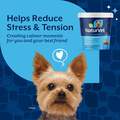 NaturVet Quiet Moments Calming Aid Plus Melatonin Soft Chews for Dogs