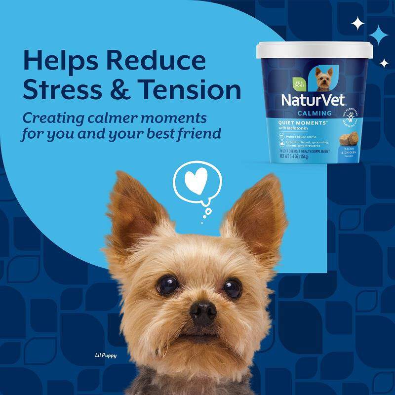 NaturVet Quiet Moments Calming Aid Plus Melatonin Soft Chews for Dogs