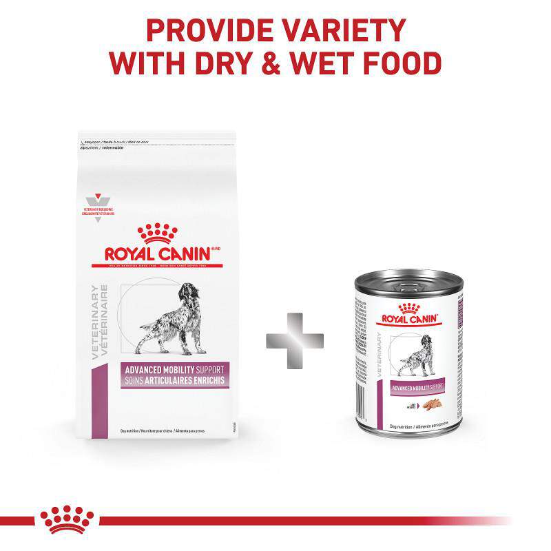 Royal Canin Veterinary Diet Adult Advanced Mobility Support Canned Dog Food, 24 x 13.5 oz cans