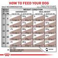 Royal Canin Veterinary Diet Adult Gastrointestinal Dry Dog Food