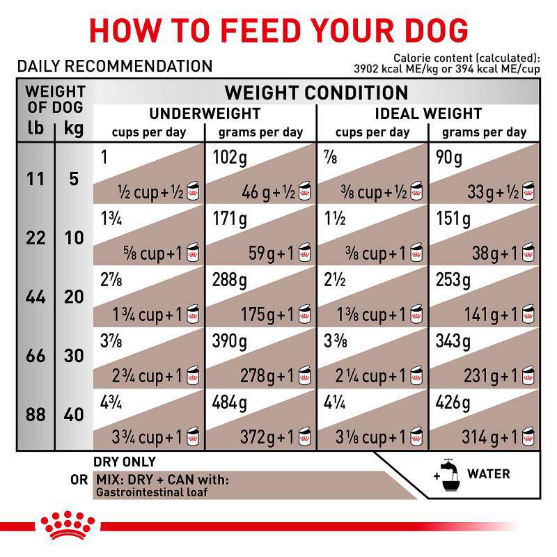 Royal Canin Veterinary Diet Adult Gastrointestinal Dry Dog Food