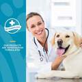 NaturVet Quiet Moments Calming Aid Plus Melatonin Soft Chews for Dogs