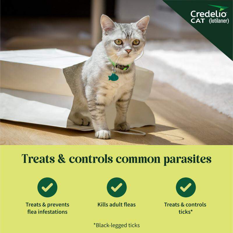 Credelio CAT Flea & Tick Chewable Tablets