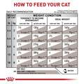 Royal Canin Veterinary Diet Adult Gastrointestinal Moderate Calorie Thin Slices in Gravy Canned Cat Food, 24 x 3 oz cans