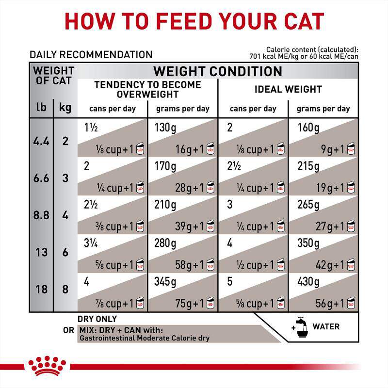Royal Canin Veterinary Diet Adult Gastrointestinal Moderate Calorie Thin Slices in Gravy Canned Cat Food, 24 x 3 oz cans