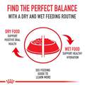 Royal Canin Veterinary Diet Adult Renal Support D Thin Slices in Gravy Canned Cat Food, 3 oz cans
