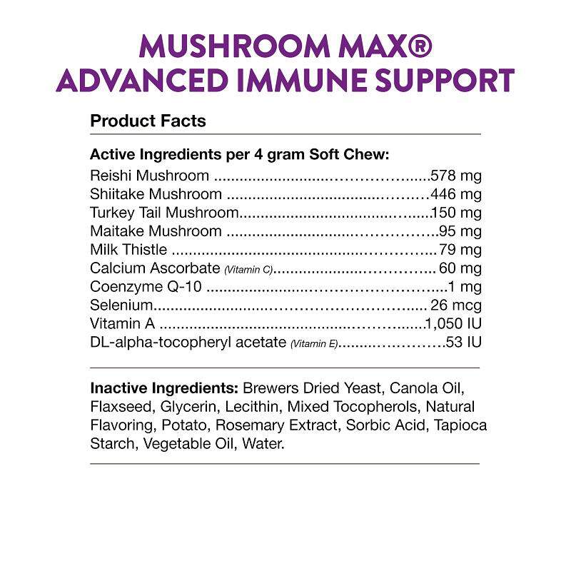 NaturVet Mushroom Max Advanced Immune Support with Turkey Tail Soft Chews for Dogs & Cats