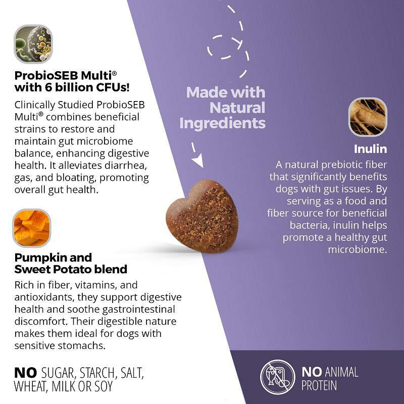 Gut, Prebiotic & Probiotics Soft Chews for Dogs, 60 ct