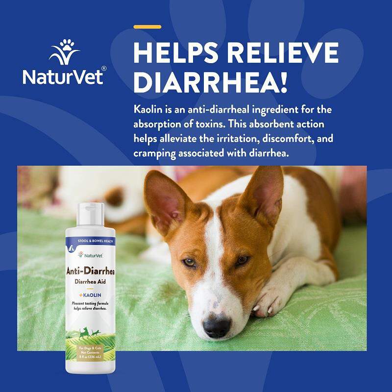 NaturVet Anti-Diarrhea for Dogs and Cats, 8 oz