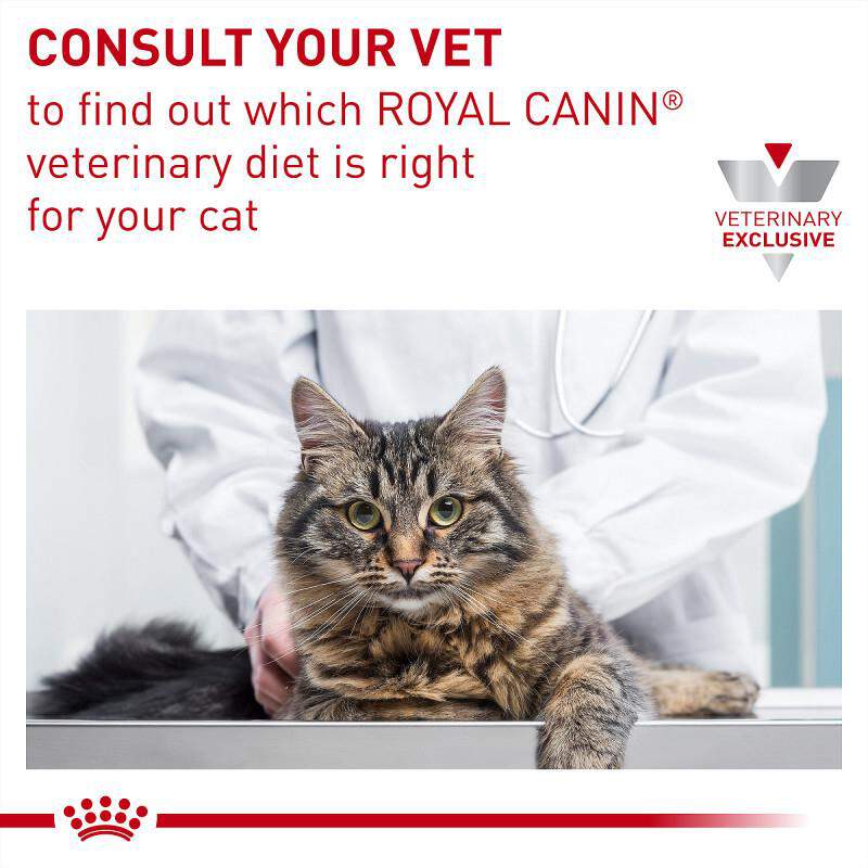 Royal Canin Veterinary Diet Adult Gastrointestinal Fiber Response Dry Cat Food, 8.8 lb bag