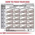 Royal Canin Veterinary Diet Adult Gastrointestinal Low Fat Small Dog Dry Food