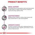 Royal Canin Veterinary Diet Adult Renal Support D Thin Slices in Gravy Canned Dog Food, 24 x 13 oz cans